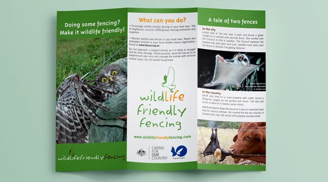Brochures