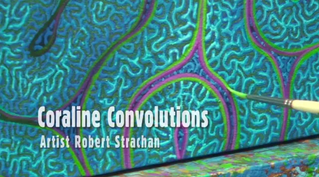 Coraline Convolutions